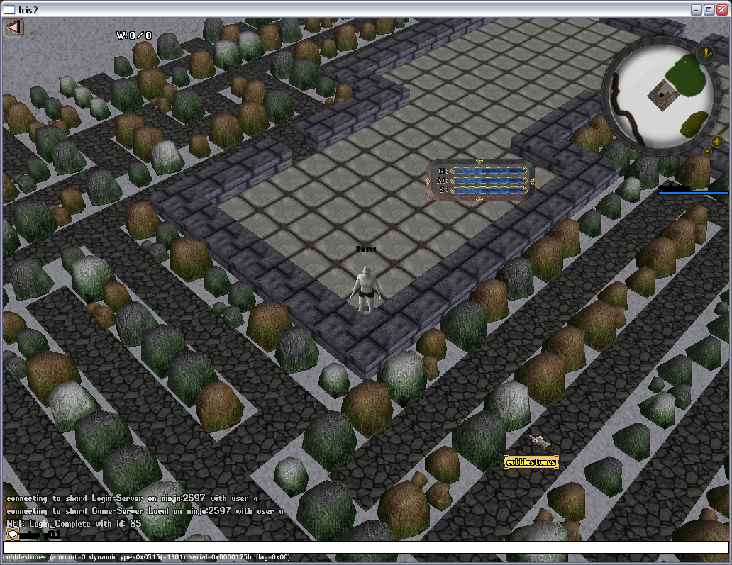 First dynamically generated dungeon seen in iris2